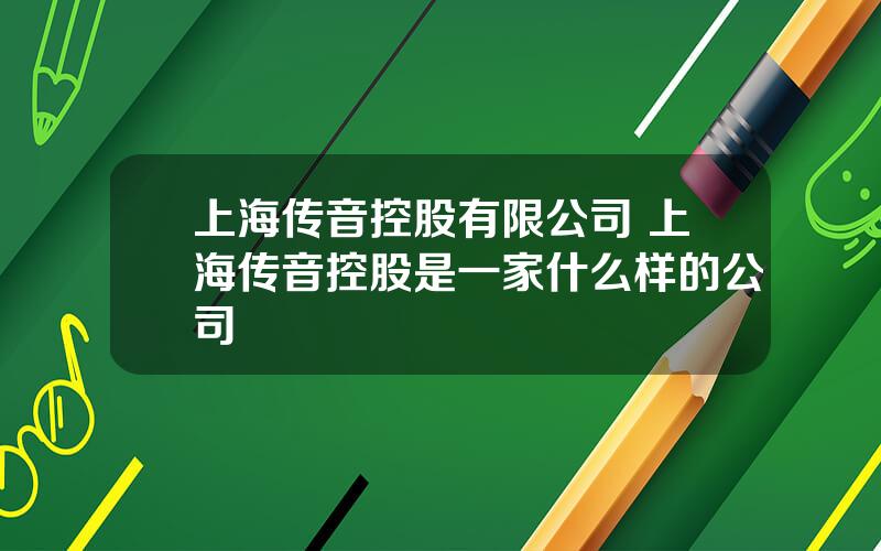 上海传音控股有限公司 上海传音控股是一家什么样的公司